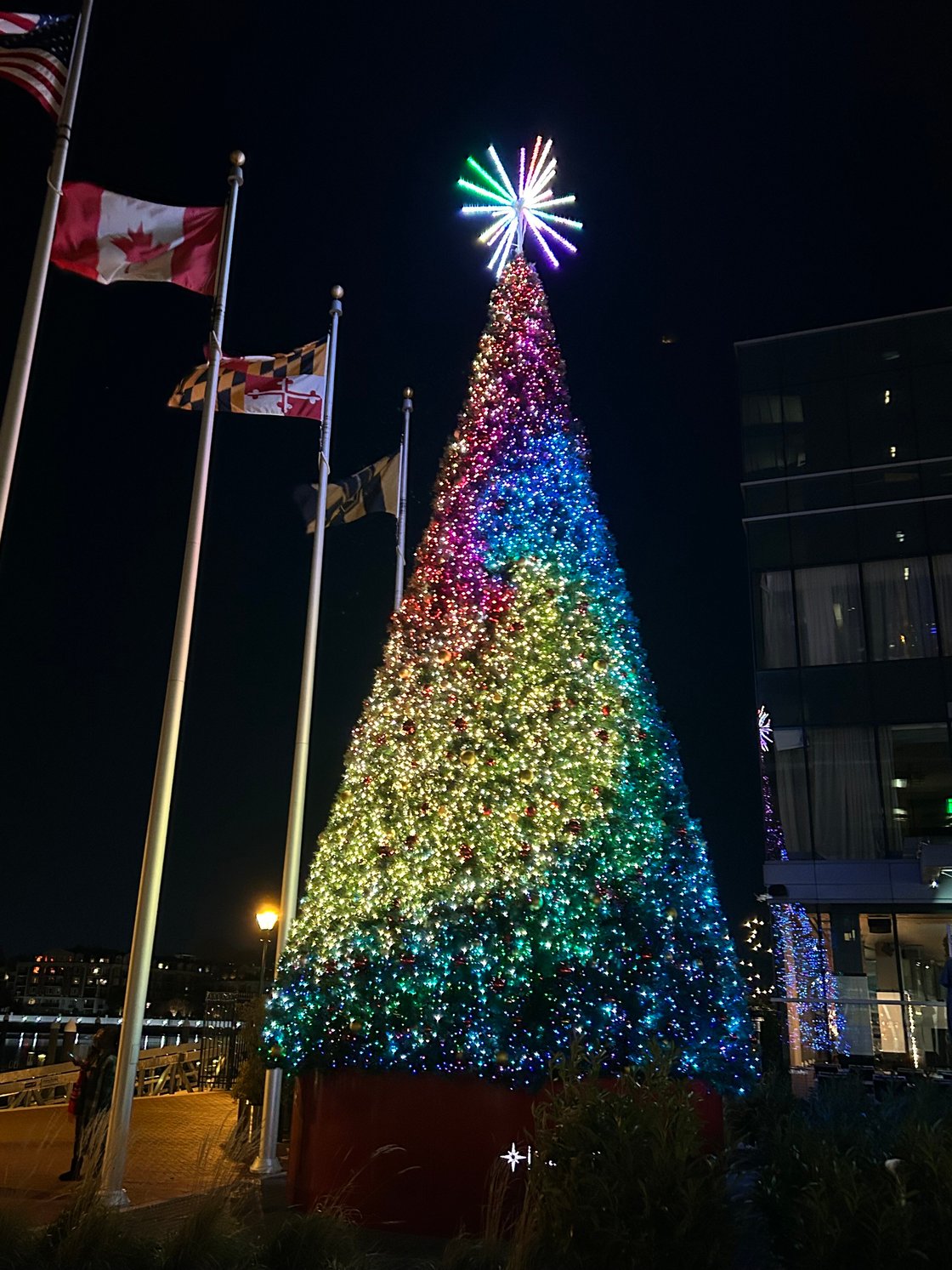 Harbor-East-Four-Season-Christmas-Tree-November-2024