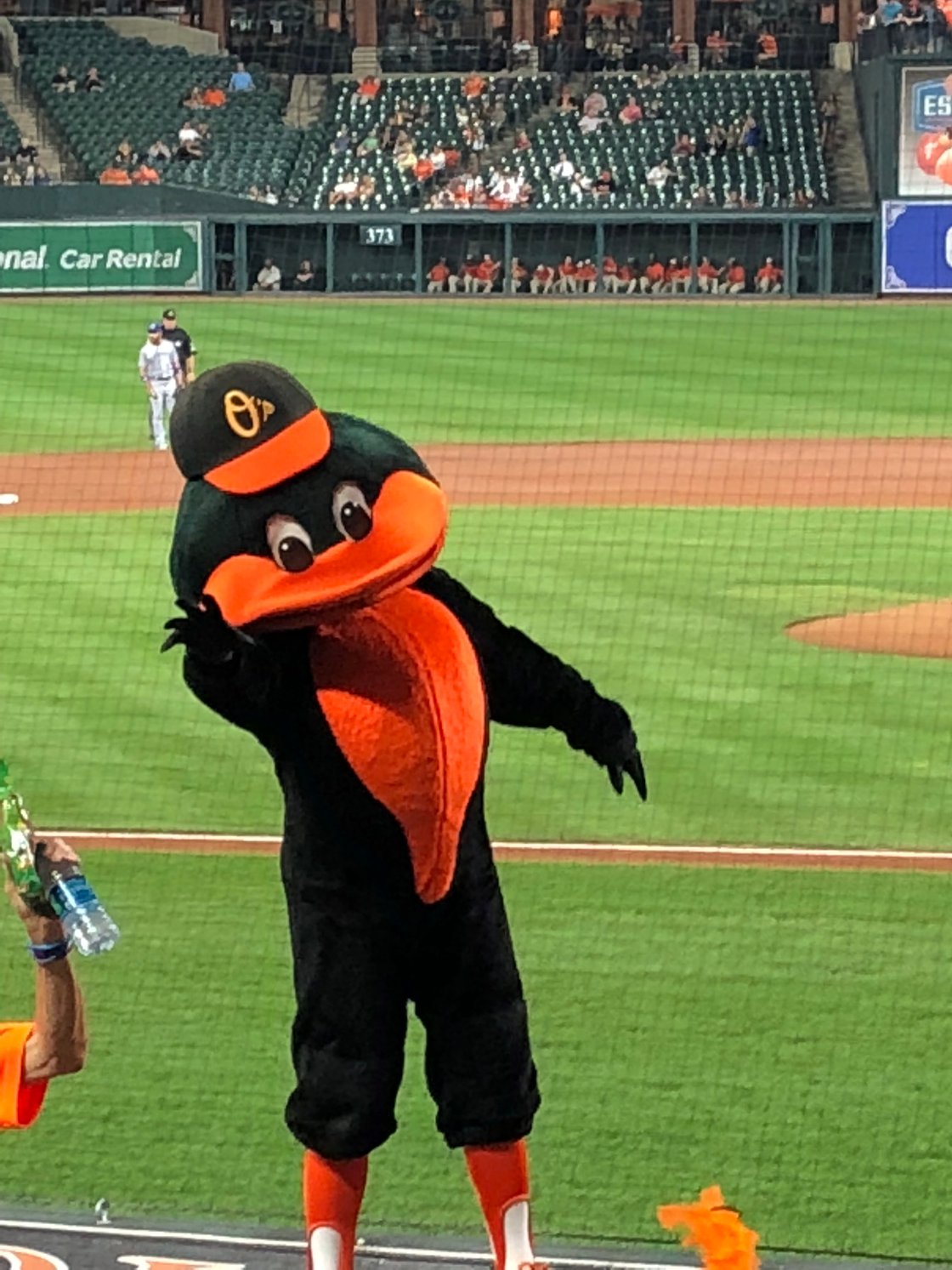 Baltimore Orioles mascot waves in front of green and brown baseball field