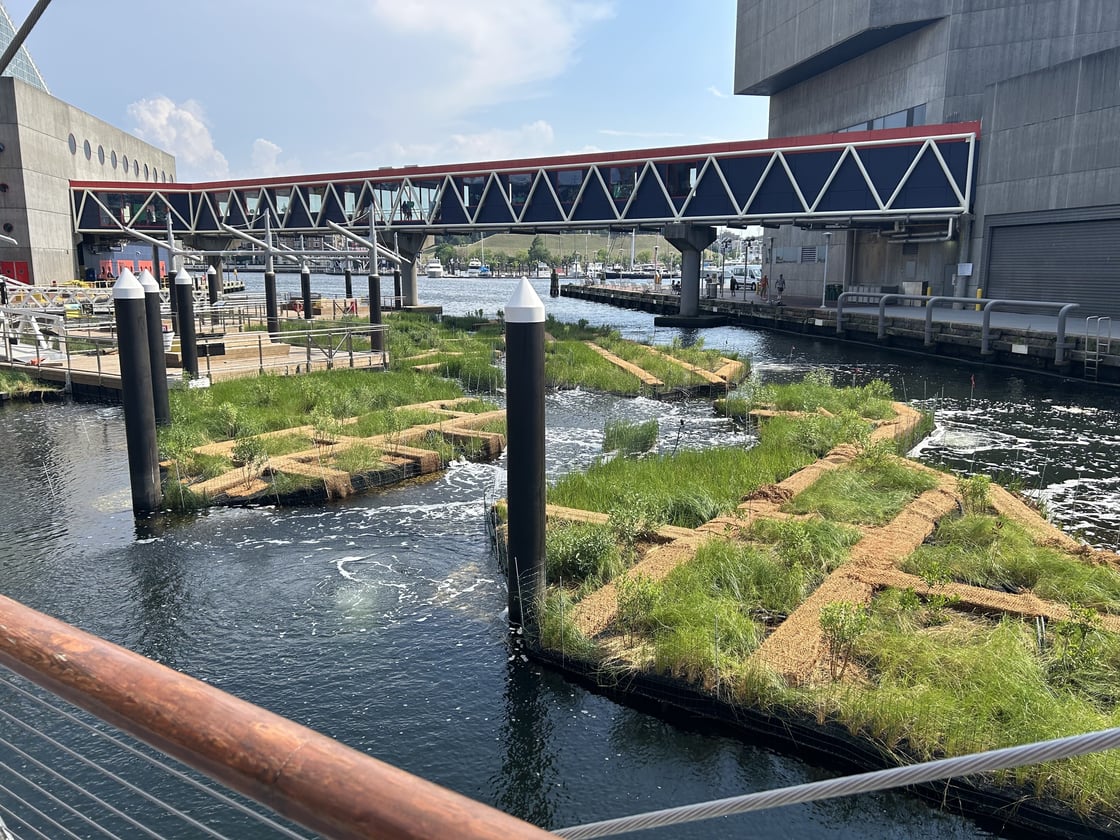 Green and brown simulations of wetlands in blue-grey water near grey buildings