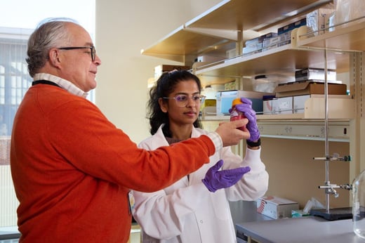 Two scientists in a laboratory examine a container; one wears an orange sweater and glasses, the other wears safety glasses, a white lab coat, and purple gloves.