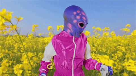 giphy-May-20-2022-08-02-13-08-PM