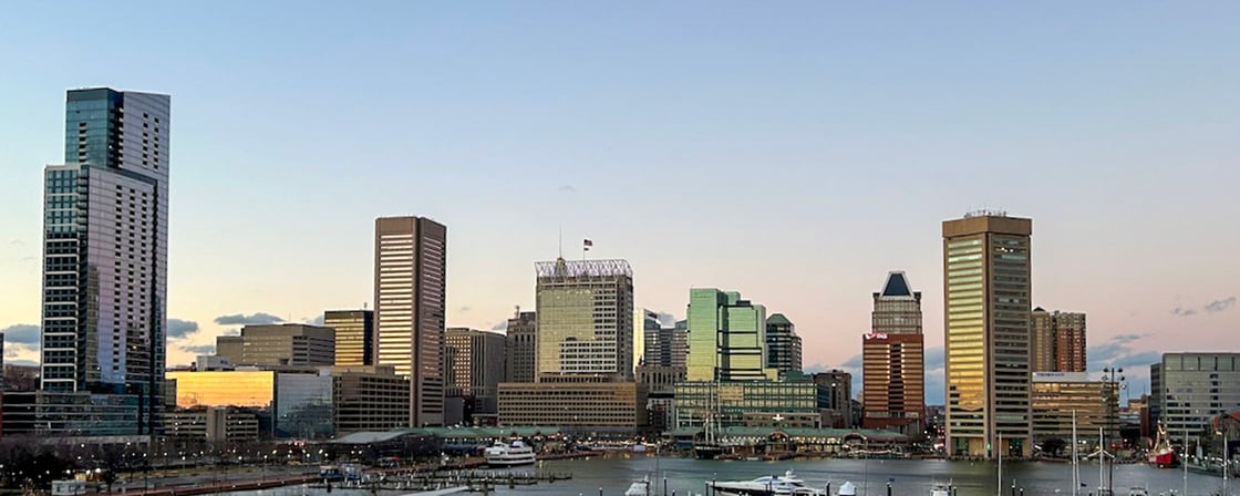 baltimore-skyline-ecosystem-map