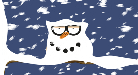 snow owl giphy