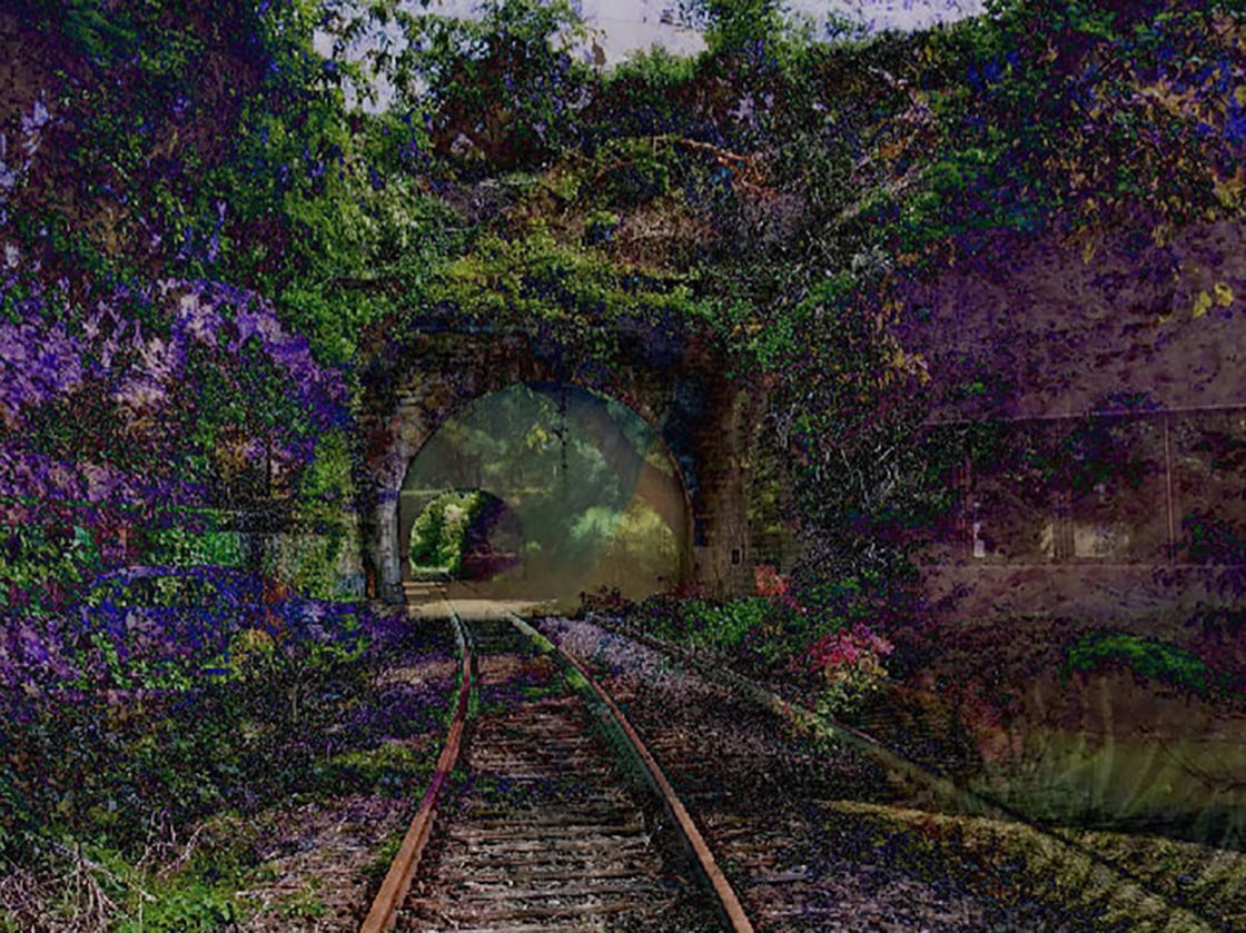 A railway track leads through a stone tunnel surrounded by dense, colorful vegetation.